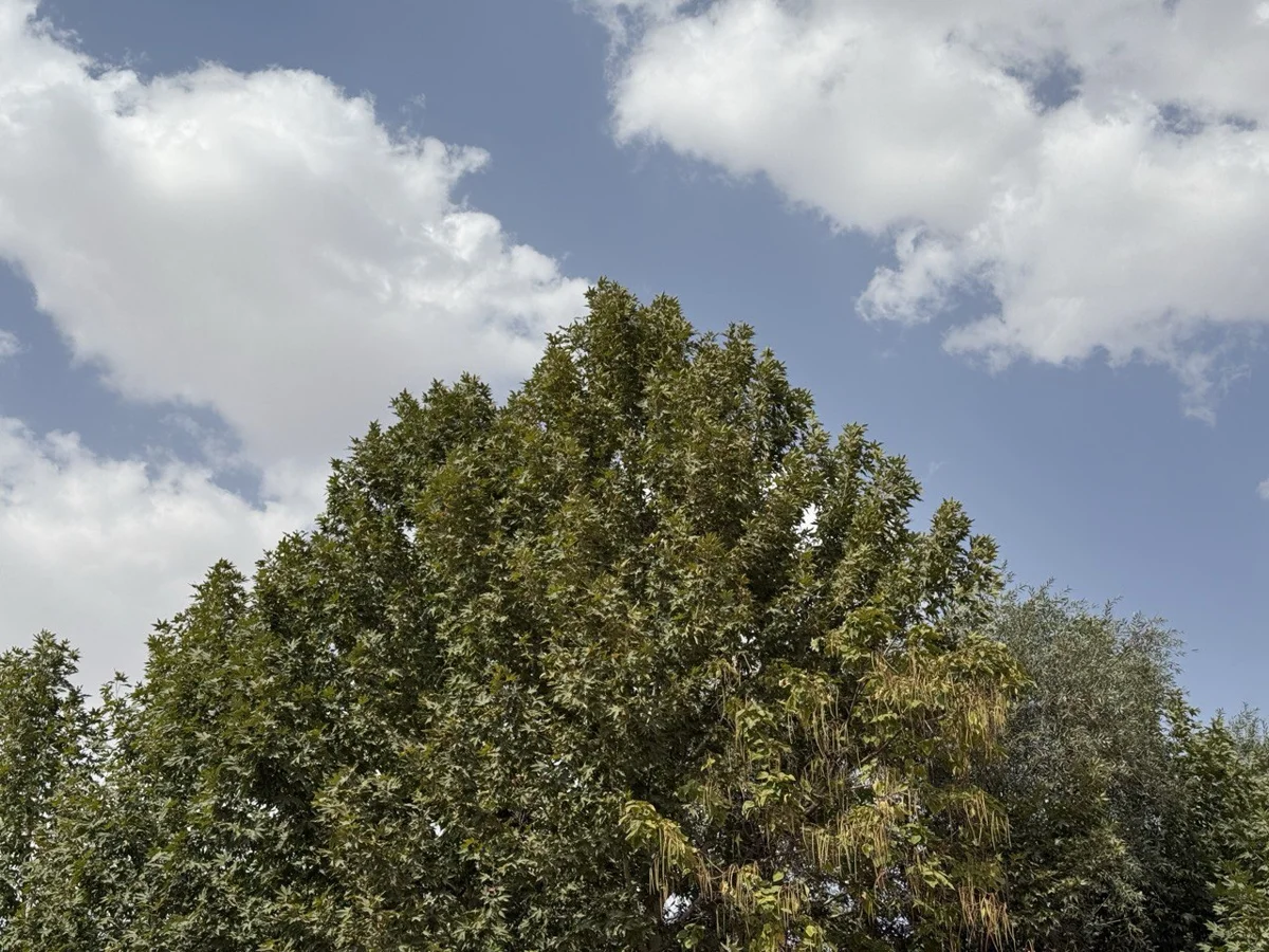 به آودیتوریوم خوش اومدین!