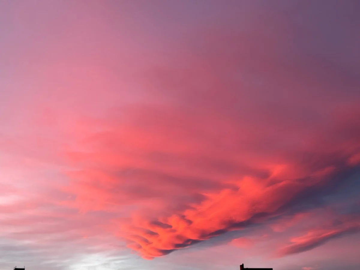 معنای زندگی